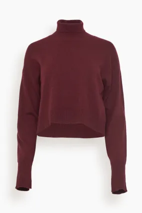 Sable Turtleneck Sweater in Bordeaux