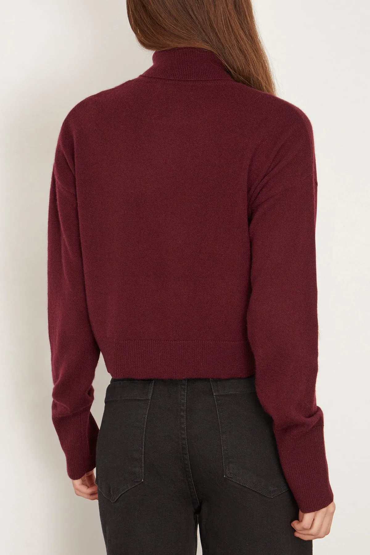 Sable Turtleneck Sweater in Bordeaux