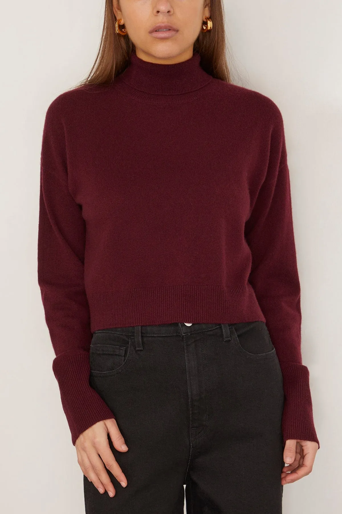 Sable Turtleneck Sweater in Bordeaux